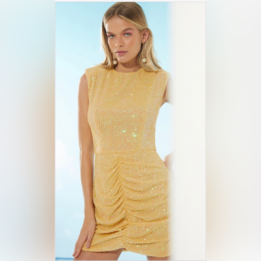 Women Sequin Dress